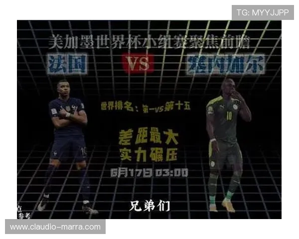 世界杯法国对阵塞内加尔历史战绩全面分析与比赛回顾